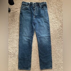 Agolde 90’s Pinch Waist Jean in Portrait NWT